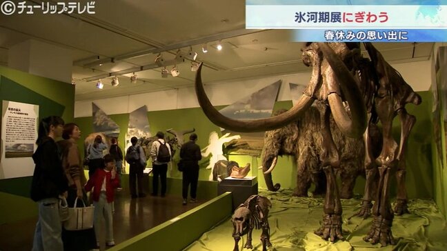 「いろんな動物いて面白い」春休みで「氷河期展」にぎわう 富山|TBS NEWS DIG