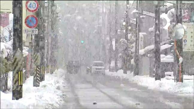 「ベタベタな雪なので大変」今シーズン初の大雪警報 日中も年末年始並みの寒さ 宮城|TBS NEWS DIG