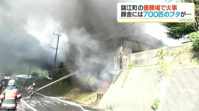 錦江町で豚舎焼ける火事　豚舎には豚が700匹…　けが人なし　鹿児島|TBS NEWS DIG