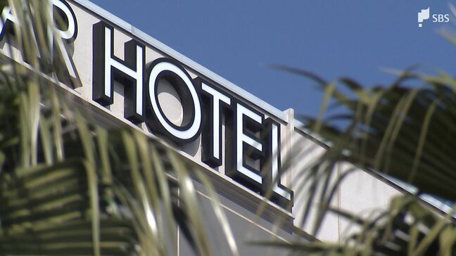 「多彩な観光コンテンツをご堪能いただきたい」観光キャンペーン『行くなら、今なの！静岡トク旅』実施へ 観光需要の回復目指す|TBS NEWS DIG