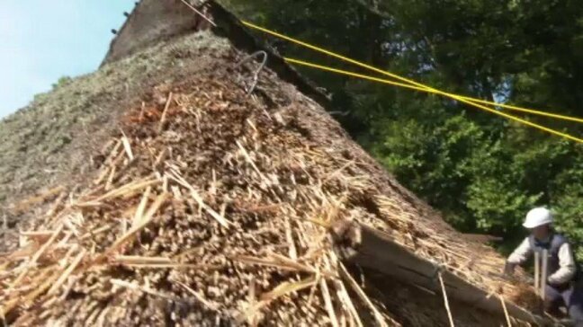 国の重要文化財「臥龍山荘」のかやぶき屋根ふきかえ　愛媛・大洲市|TBS NEWS DIG