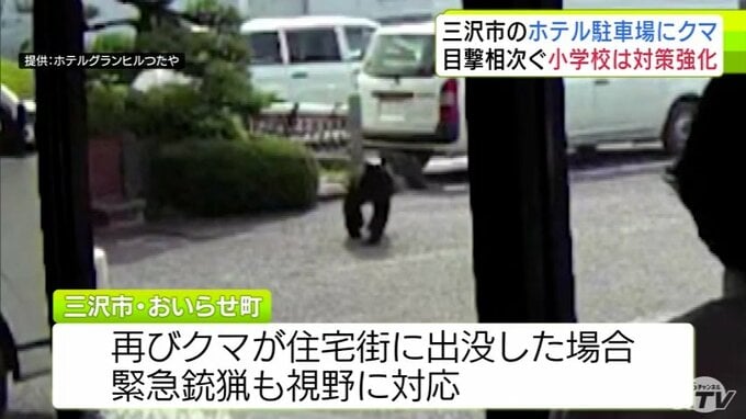 防犯カメラがとらえた駐車場を歩くクマの姿　ホテル近くで目撃相次ぐ　小学校では児童の保護者送迎など対策強化　三沢市は住宅街に出没した場合には緊急銃猟も視野に対応|TBS NEWS DIG