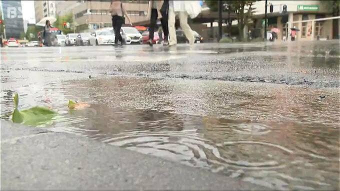 4日朝まで雷伴い激しく雨が降る恐れ　土砂災害に注意・警戒を　3日も中下越で一時激しい雨に　新潟県|TBS NEWS DIG