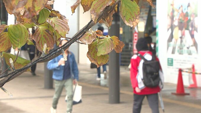 大分県内でインフルエンザ患者数が3週連続増加　学級閉鎖相次ぐ　|　大分のニュース｜OBS NEWS｜大分放送