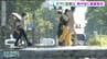 午前中から35℃超えで25日宮城県内に1か月ぶり熱中症警戒アラート！午後はさらに上がる見込み熱中症に厳重警戒　|　宮城のニュース│tbc NEWS│tbc東北放送