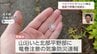 27日の宮崎県内は大気の状態が不安定に　一部でひょうや激しい雷雨が　西米良村などでは停電も(27日午後6時15分現在)　|　MRTニュース ｜ ＭＲＴ宮崎放送
