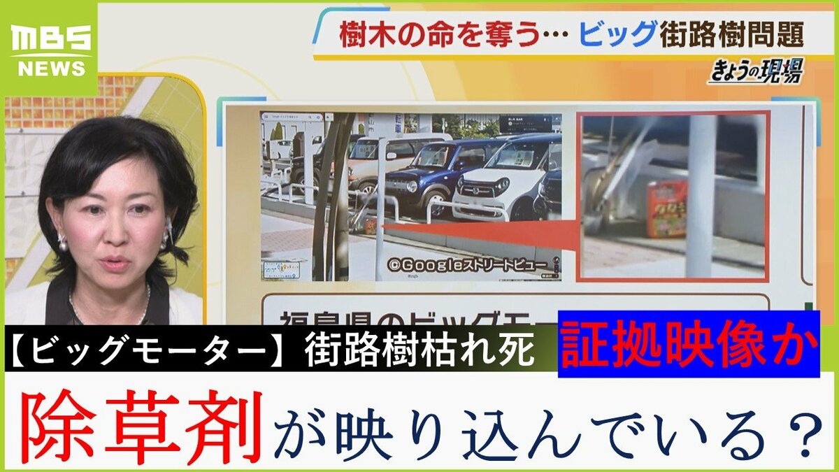 ビッグモーター】 樹木医が激怒「農薬取締法に触れる可能性も」街路樹