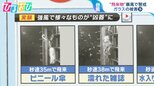 ビニール傘やスリッパでもガラスが割れる…“飛来物”暴風で警戒 台風の前にできる備えは【ひるおび】|TBS NEWS DIG