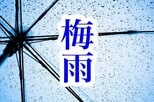 静岡県含む東海地方で梅雨入り 去年より21日遅い【速報】|TBS NEWS DIG