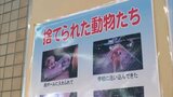 「最後まで責任を持って」岡山市が動物愛護パネル展 殺処分しないために正しい飼い方を呼びかけ【岡山】|TBS NEWS DIG