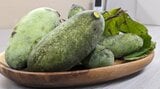 幻のフルーツ ポポーの実、豊作 岩手・花巻市|TBS NEWS DIG