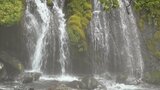 「ずっといたいです」天然のミストシャワーに涼を求めて多くの人が集まる 北杜市・吐竜の滝|TBS NEWS DIG