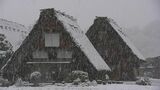 世界遺産 白川郷が雪化粧 合掌造りの家屋が白く染まる 東海地方で1センチ以上の積雪観測は今季初|TBS NEWS DIG