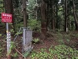 上山市で山菜採りの男性がクマに襲われ大ケガ　背後から突然襲われる（山形・上山署）|TBS NEWS DIG