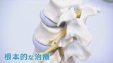 「薬で治す」腰椎椎間板ヘルニアの治療で臨床試験はじまる 根本的な治療に期待 | 山梨のニュース | UTYテレビ山梨