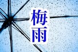 静岡県含む東海地方で梅雨入り 去年より21日遅い【速報】|TBS NEWS DIG