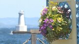「海辺のガーデニングフェスタ」始まる 季節の花の寄せ植えや壁掛けなど68点を展示 大分 | 大分のニュース|OBS NEWS|大分放送