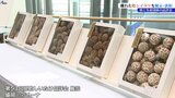 天候不順を乗り越え受賞 「乾シイタケ品評会」|TBS NEWS DIG