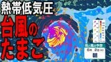 【台風のたまご発生へ?】新たな熱帯低気圧=台風のたまごが25日(月)の夜にも発生か 発達を続けて日本周辺に接近の可能性も…? 10日先までの雨・風の予想シミュレーション・最新情報あり | 青森のニュース│ATV NEWS│青森テレビ