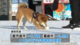 鹿児島市街地でも積雪 13地点で今季最低気温を更新 スリップ事故も 鹿児島 | 鹿児島のニュース|MBC NEWS|南日本放送