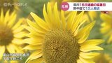 富山は16日連続の猛暑日 熱中症とみられる症状で男女13人を搬送 8日もこまめな水分補給を|TBS NEWS DIG