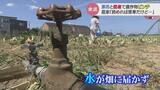 「諦めれば簡単だけど…」豪雨の影響で畑で”水不足”に、酷暑で枯れていく作物に農家 富山・氷見市|TBS NEWS DIG