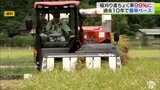 春からの好天で過去10年最早の稲刈り 進ちょく率は全体で99% 青森県|TBS NEWS DIG