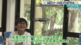 ドローンを飛ばすプログラミングに挑戦！　夏休みの学び（2）　|　沖縄のニュース｜RBC 琉球放送