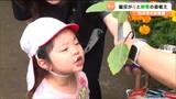 ホームセンターから“トマト”や“マリーゴールド”の苗プレゼント届く 保育園児が夏野菜と花を苗を植える 宮城・白石市|TBS NEWS DIG