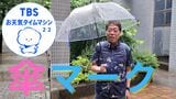 天気予報の「傘マーク」に「傘の歴史」 梅雨に楽しむ傘トリビア【気象予報士・森朗のお天気タイムマシン】|TBS NEWS DIG