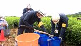 「ひとつひとつ丁寧に聞き取りたい」護岸工事で井戸水減少か 国交省が現地調査開始=静岡・島田市 | 静岡のニュース | SBSNEWS | 静岡放送