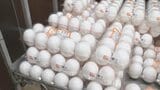 たまごと豚肉の価格が最高値　農水省調査|TBS NEWS DIG