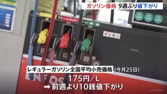レギュラーガソリン全国平均価格175円　9週ぶりに値下がりも「年明けは値上がり」と予想| TBS CROSS DIG with Bloomberg