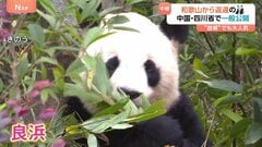 和歌山から返還のパンダを一般公開　活発な良浜は敷地内をぐるぐる… グッズも大人気！ 中国四川省・成都| TBS CROSS DIG with Bloomberg