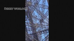 オリンピック閉会式を控えたフランス・パリ 男がエッフェル塔をよじ登り逮捕、観光客は一時避難| TBS CROSS DIG with Bloomberg