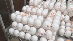 たまごと豚肉の価格が最高値　農水省調査| TBS CROSS DIG with Bloomberg