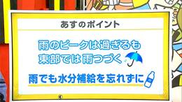 高知の天気　１２日　西から天気回復　山岸拓気象予報士が解説|TBS NEWS DIG