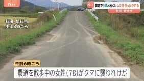 きょう(19日)も各地でクマ出没相次ぐ 秋田・能代市 農道で3頭と出くわし78歳女性背中引っかかれる 岩手・北上市 61歳男性 2頭と出くわす左足かまれ軽傷|TBS NEWS DIG