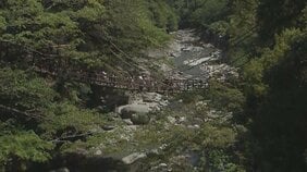 【速報】約10m下の川岸に誤って転落か…　徳島「祖谷のかずら橋」で事故が発生　高齢男性が死亡|TBS NEWS DIG