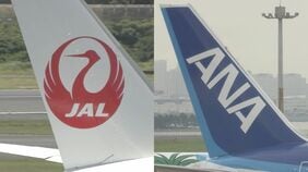 大雪などで全日空と日本航空で計89便欠航 5700人に影響　急遽遅延や欠航の可能性も 注意呼びかけ|TBS NEWS DIG