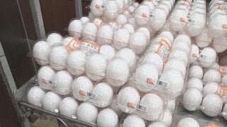 たまごと豚肉の価格が最高値　農水省調査| TBS CROSS DIG with Bloomberg