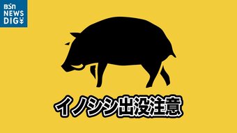 「畑にイノシシが…」新潟市でイノシシ目撃情報寄せられる　警察が注意呼びかけ|TBS NEWS DIG