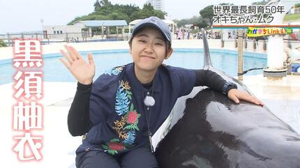 50年現役！「沖縄観光のハイライト」美ら海水族館のオキちゃんとムク