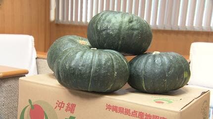 食品 【SALE】かぼちゃ 栗吾郎 沖縄県 宮古島産