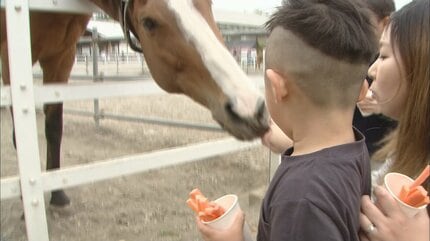 子ども「怖い…」母親「怖くないよ」 GWも最終日 馬車に乗ったりニンジンの