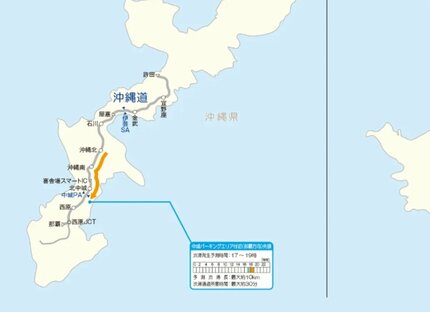 根っこ付き確認画像です♪ これらの根っこは何から？ : r/GardeningUK