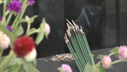 「暑さ寒さも彼岸まで」とは行かず…？　長野市の気温は先週より１１度下がり平年並み　週明けは寒暖差大きく|TBS NEWS DIG