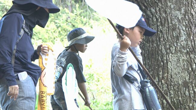 参加賞はカブトムシ 昆虫の森体験教室 山口県防府市|TBS NEWS DIG