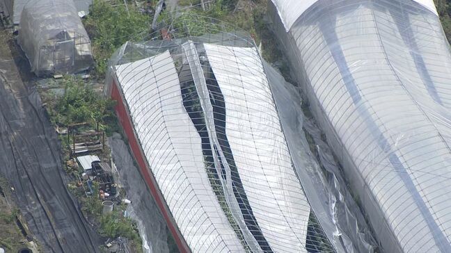 岐阜市で発生の突風「竜巻の可能性が高い」 推定風速は約35メートル 岐阜地方気象台が調査結果を発表|TBS NEWS DIG