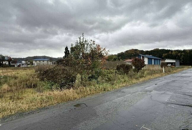 県内では過去最多の人身被害...柿の木のそばのヤブから突然クマ→75歳男性が自宅近くで襲われる(山形)|TBS NEWS DIG